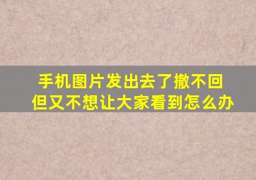 手机图片发出去了撤不回 但又不想让大家看到怎么办